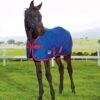 Weatherbeeta Original 1200D Foal Standard Neck Medium
