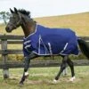 Weatherbeeta ComFiTec Essential 220g Medium Weight Standard Neck Turnout Rug