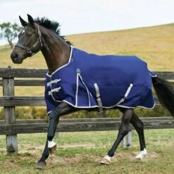 Weatherbeeta ComFiTec Essential 220g Medium Weight Standard Neck Turnout Rug 13 Weatherbeeta ComFiTec Essential 220g Medium Weight Standard Neck Turnout Rug -Horse Riding Equipment Store go 581434 z