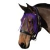 Saxon Fly Fringe Purple 2 Saxon Fly Fringe Purple -Horse Riding Equipment Store go 586034 a
