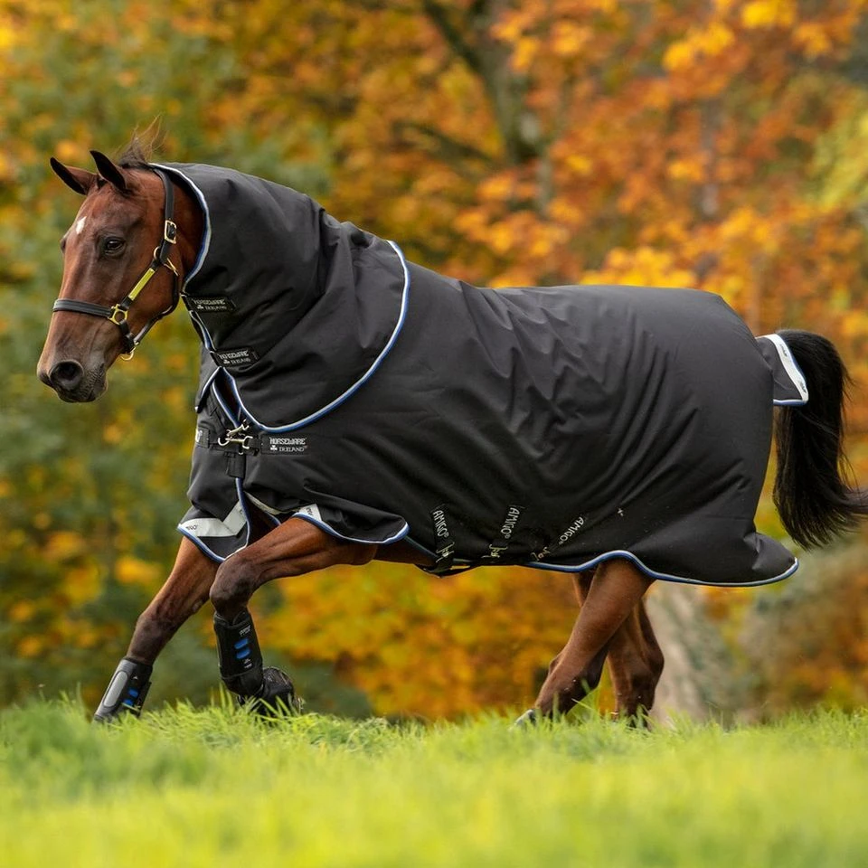 Amigo Bravo12 Plus Medium Weight Turnout Rug – 250g 3 Amigo Bravo12 Plus Medium Weight Turnout Rug – 250g