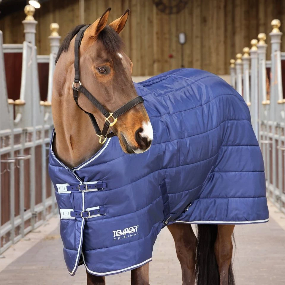 Tempest 200g Stable Rug And Neck 4 Tempest 200g Stable Rug And Neck - Image 2