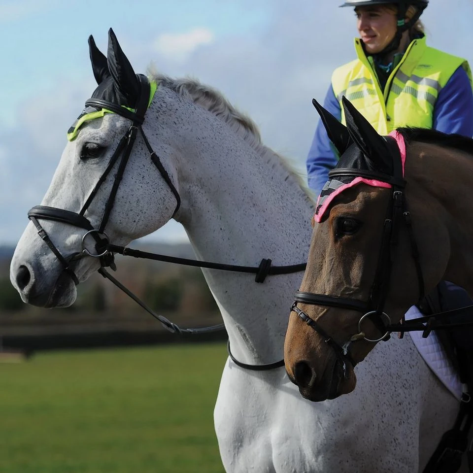 Weatherbeeta Reflective Ear Bonnet 5 Weatherbeeta Reflective Ear Bonnet - Image 3