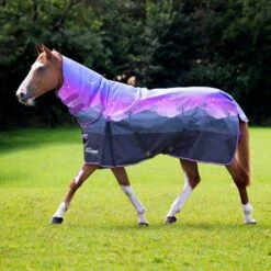 Highlander 100g Combo Turnout Rug -Horse Riding Equipment Store go 614499 c