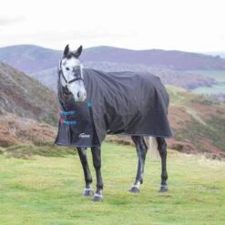 Highlander Original 200g Medium Weight Combo Neck Turnout Rug -Horse Riding Equipment Store go 614500 z