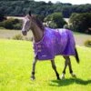 Original 100g Turnout Rug
