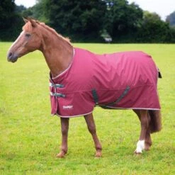Tempest Original 200g Turnout Rug -Horse Riding Equipment Store go 614505 z