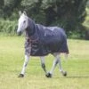 Typhoon 100g Combo Turnout Rug