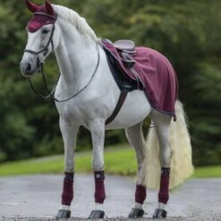 Competition Sheet -Horse Riding Equipment Store go 616299 z