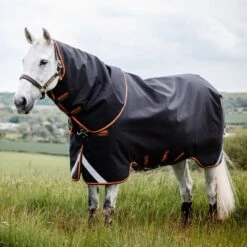 Supreme 1680D Detachable Neck Turnout Rug 7 Supreme 1680D Detachable Neck Turnout Rug -Horse Riding Equipment Store go 616301 z