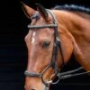Salisbury Brampton Bridle