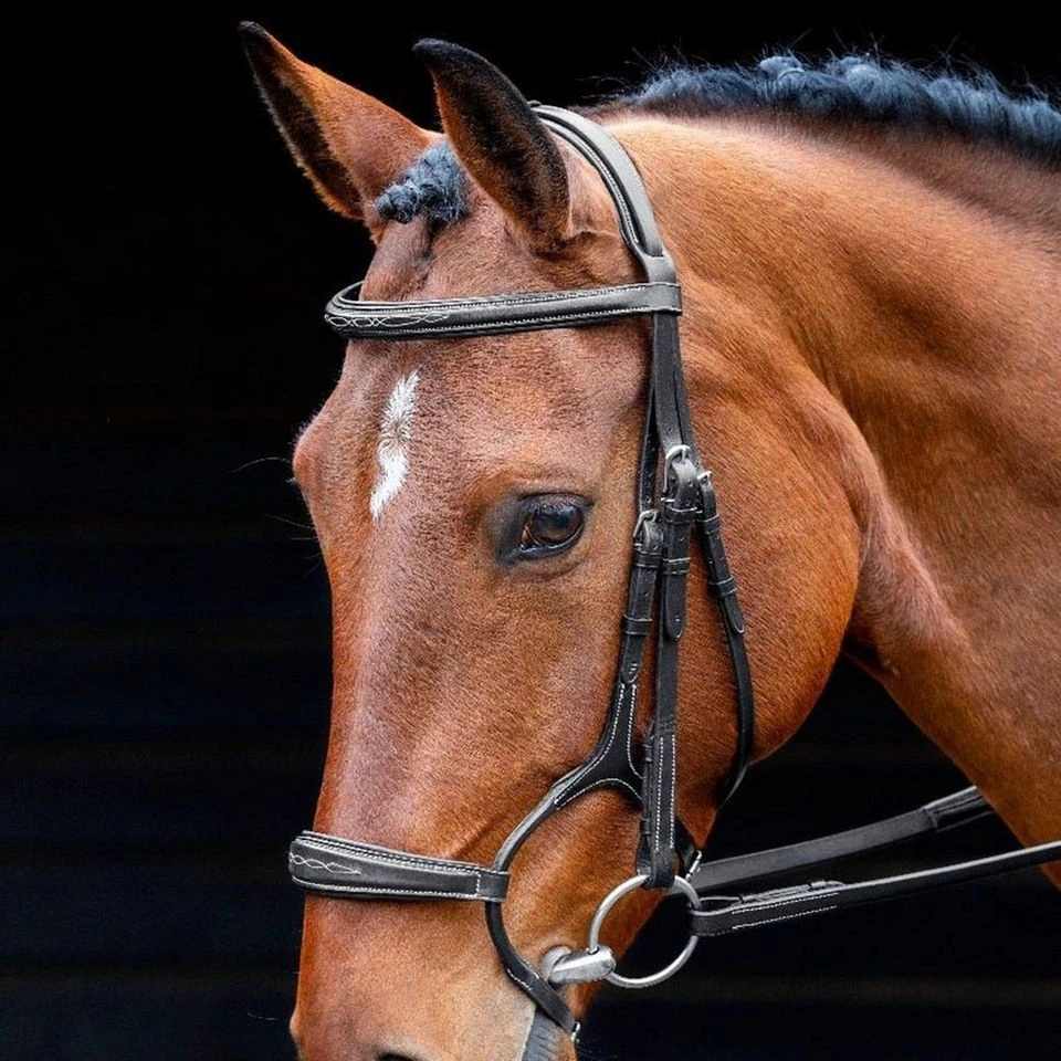 Salisbury Brampton Bridle 4 Salisbury Brampton Bridle - Image 2