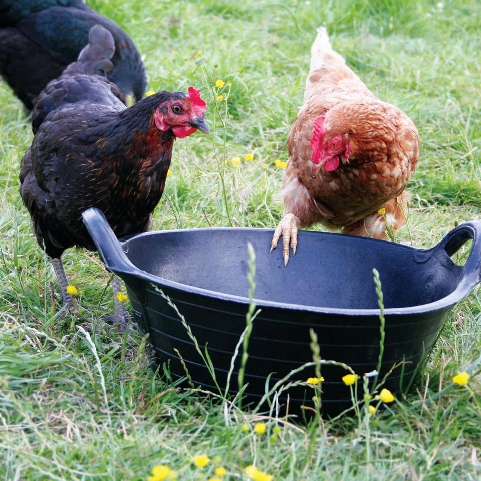 Tyre Rubber Feed Skips 3 Tyre Rubber Feed Skips - Image 2