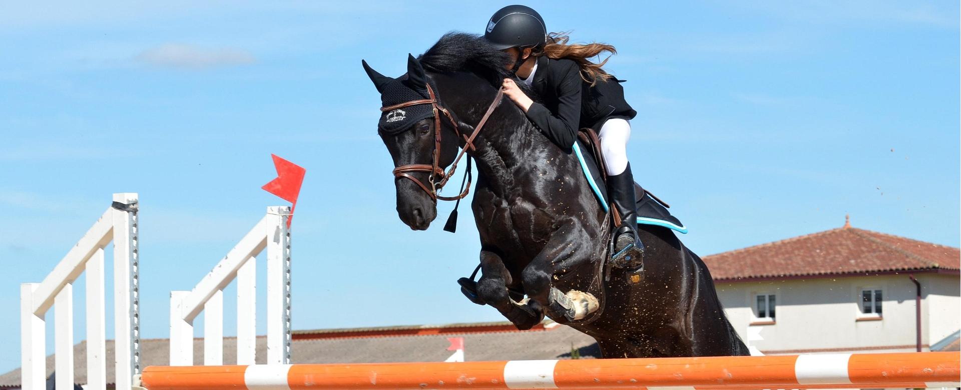 Horse Riding Equipment Store 1 Horse Riding Equipment Store -Horse Riding Equipment Store horse 721136 1920